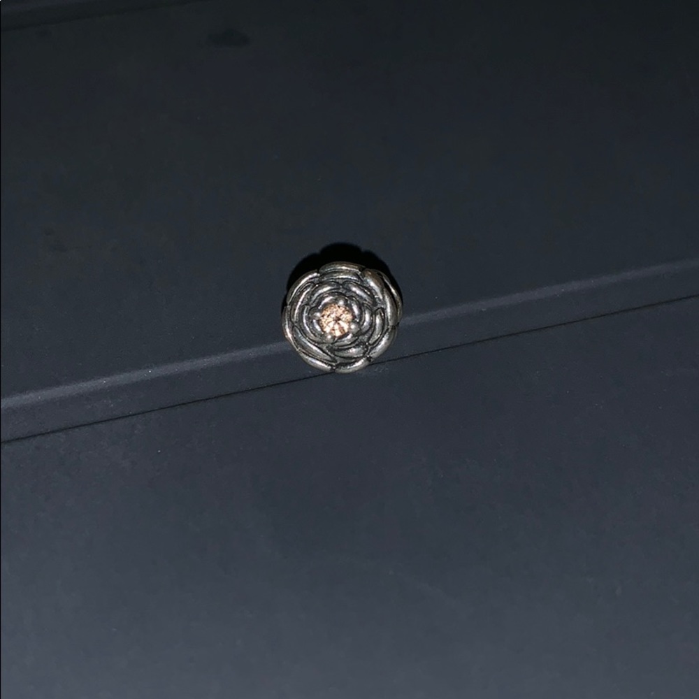 Pandora Blooming Rose Charm